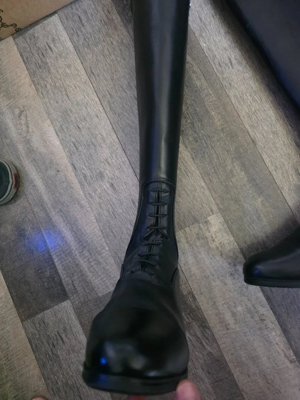Tredstep Donatello III field- size 39EU, calf xslim ht tall black NWB
